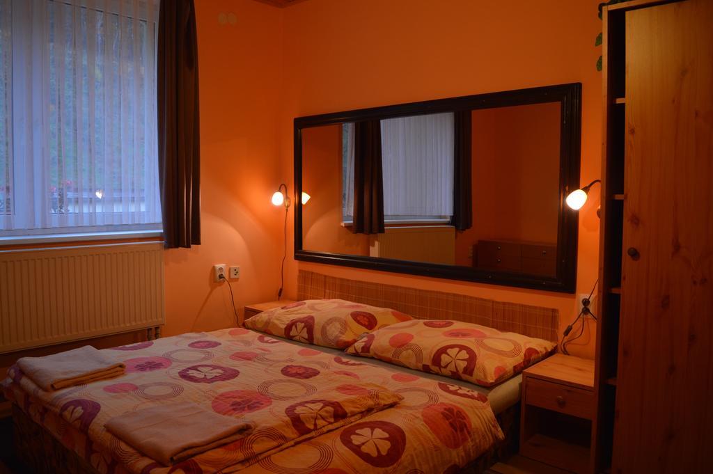 Penzion54 & Restaurace Ostrov  Room photo